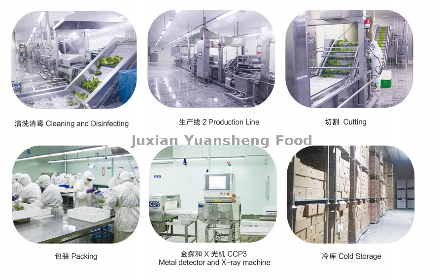 workshop 2 atelier 2