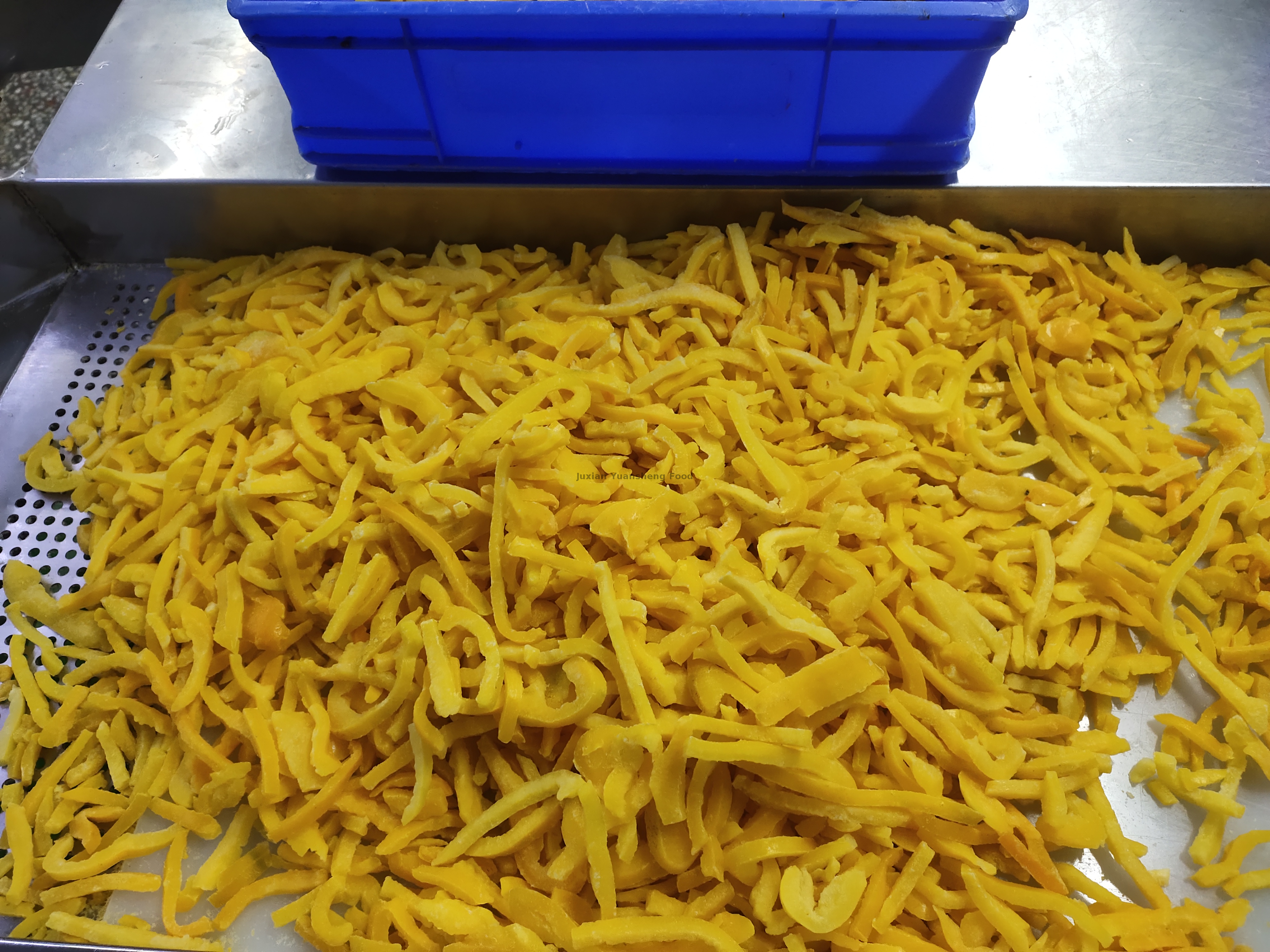 bell pepper (11) poivron (11)