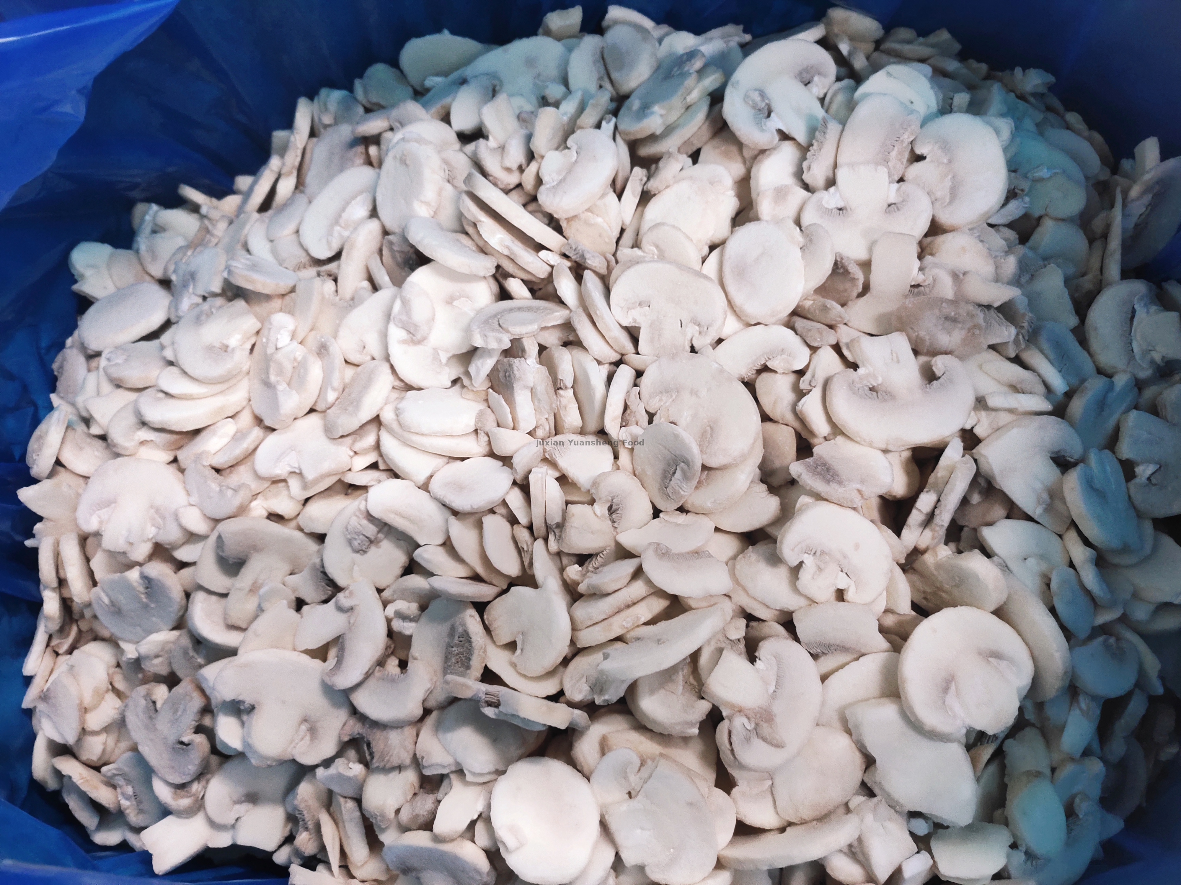 Sans conservateurs Champignons surgelés Grade A