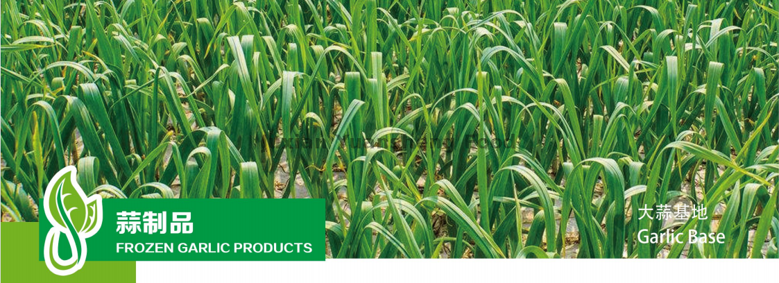 &agrave; base d'ail