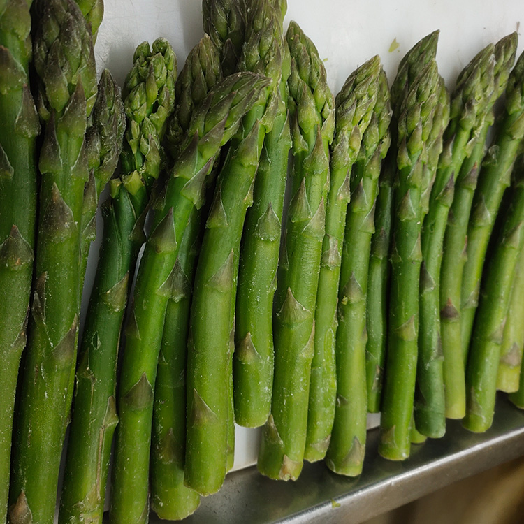 Vente en gros d'asperges vertes congelées de haute qualité