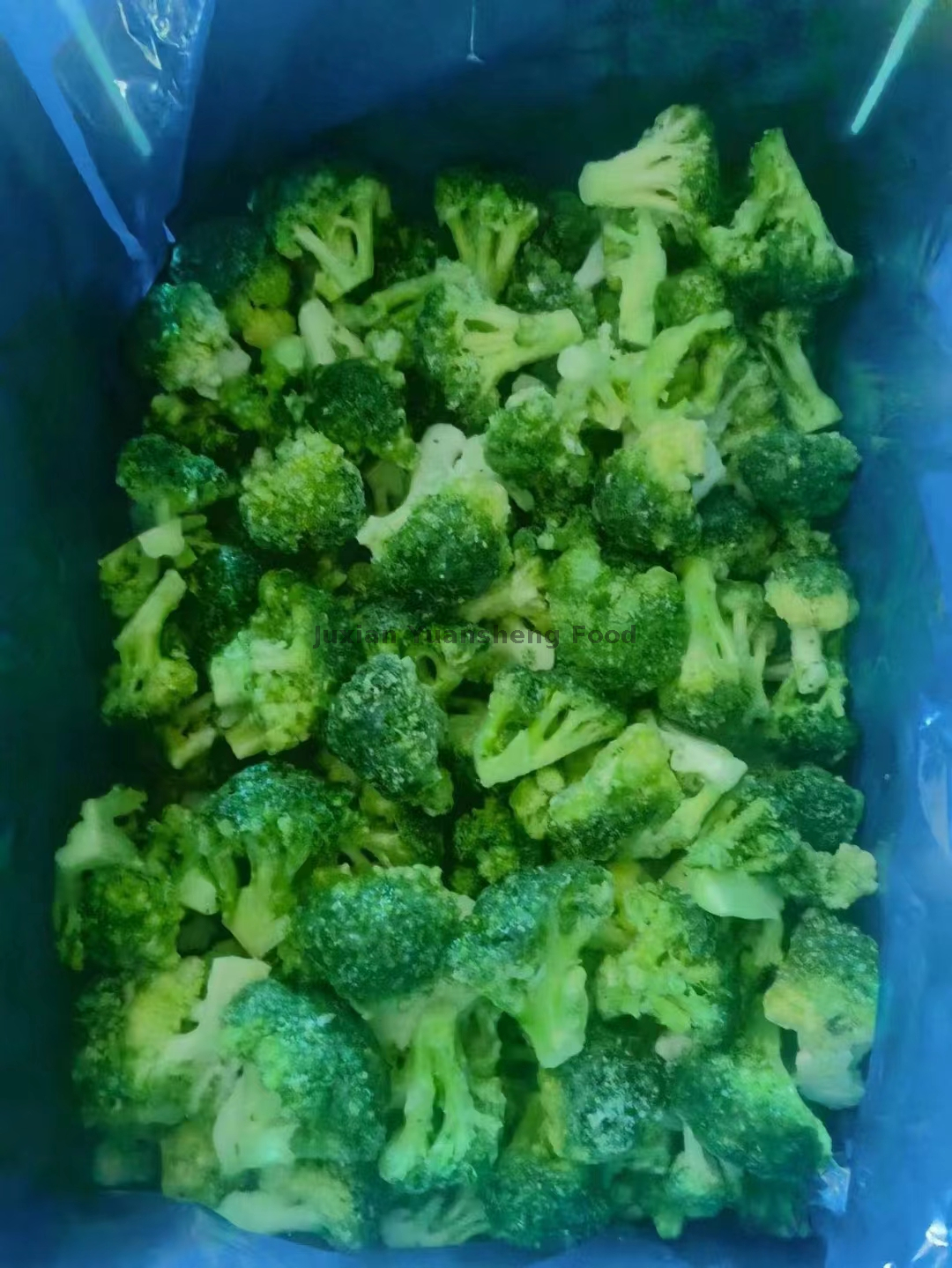 brocoli (5)