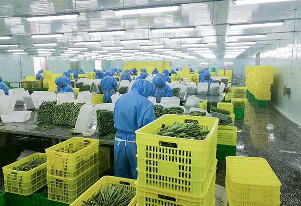 4_0000_粗加工-Production brute