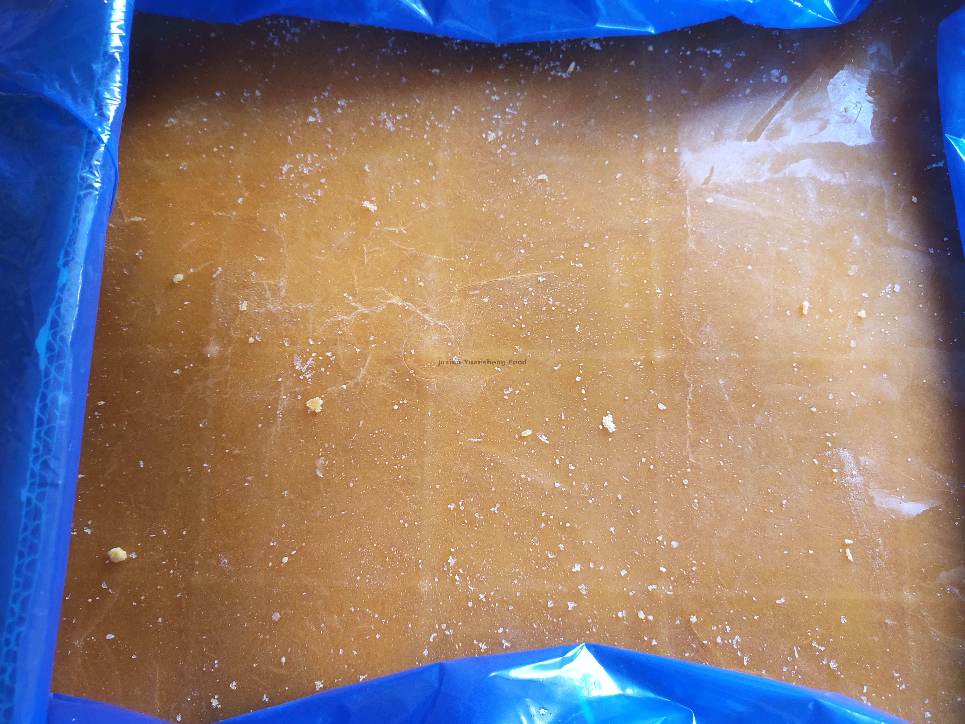 citrouille 2 (7) - 副本