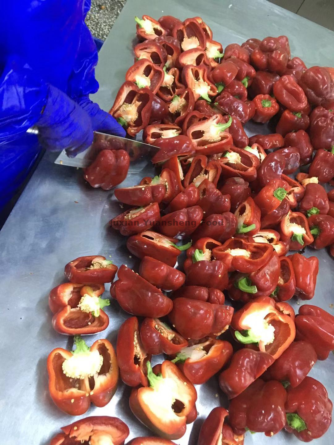 D&eacute;s de poivrons rouges surgel&eacute;s en vrac 