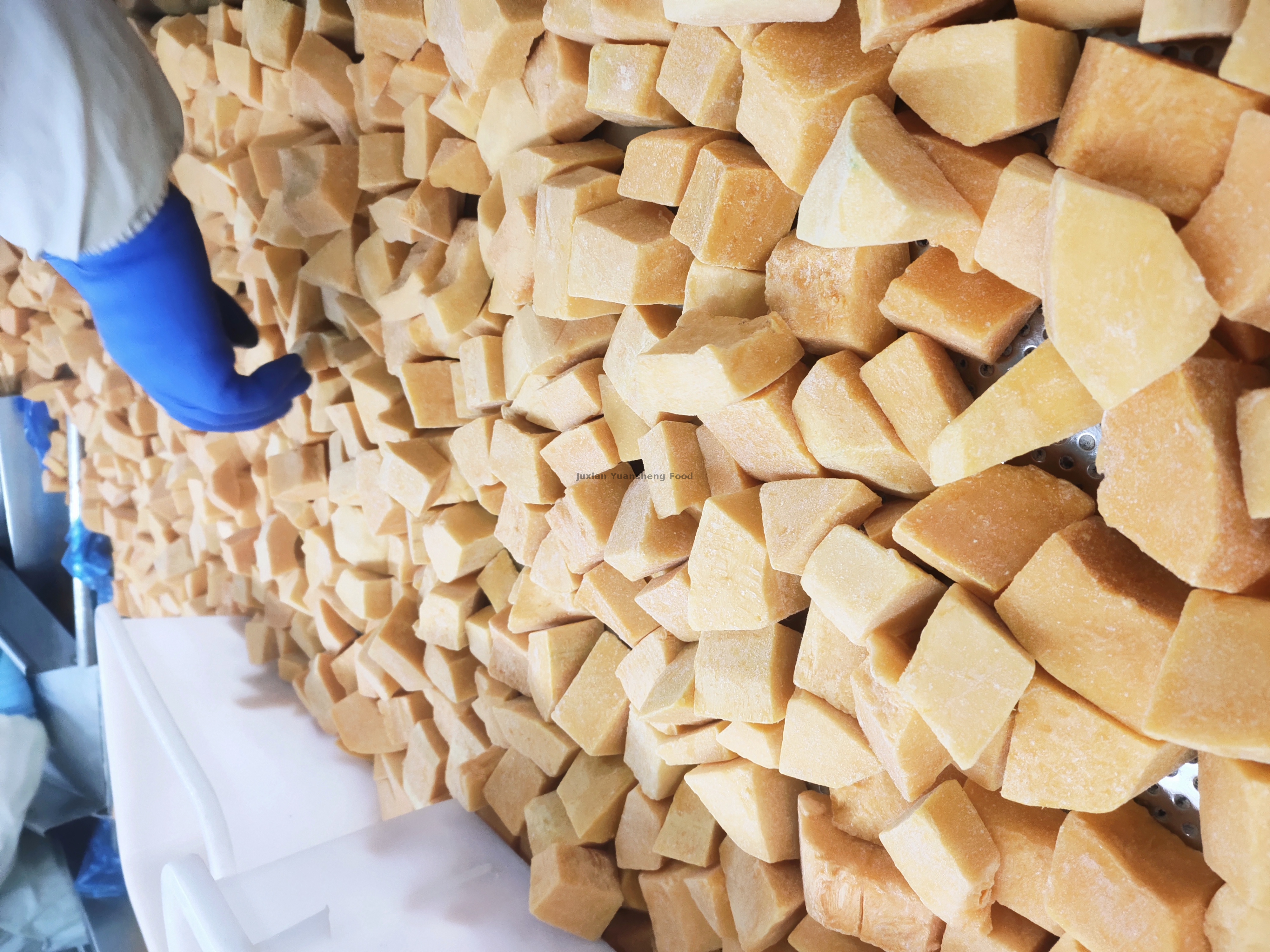 citrouille 2 (3) - 副本