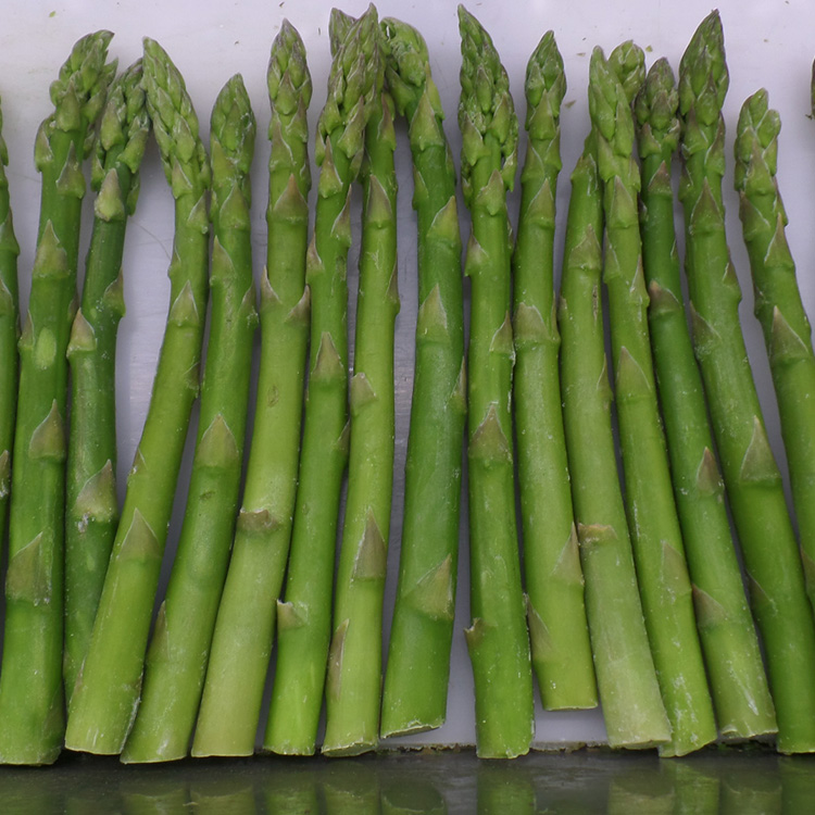 Vente en gros d'asperges vertes congelées de haute qualité