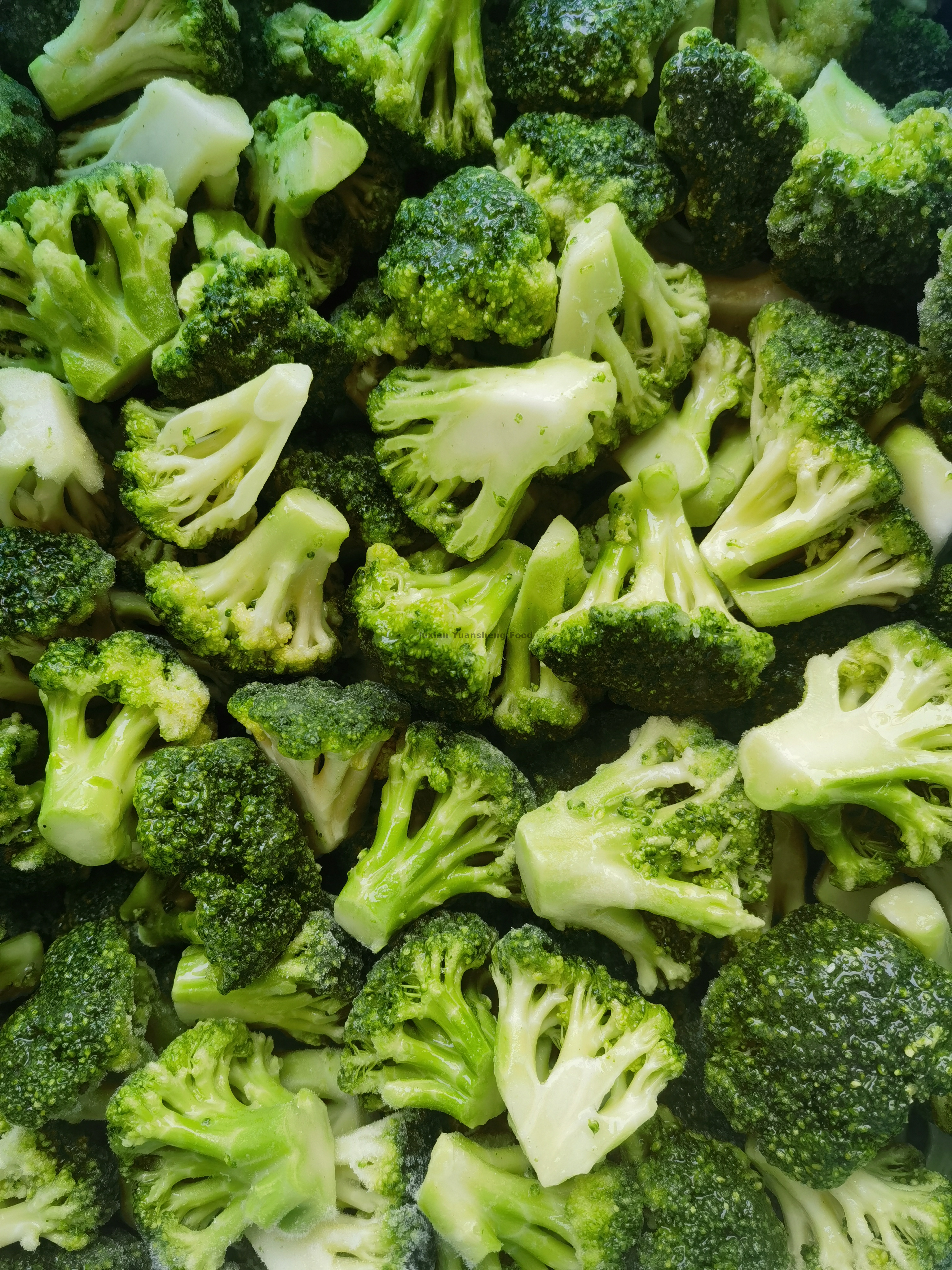 Brocoli congelé 100 % naturel au goût typique de Chine