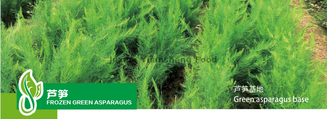 base d'asperges