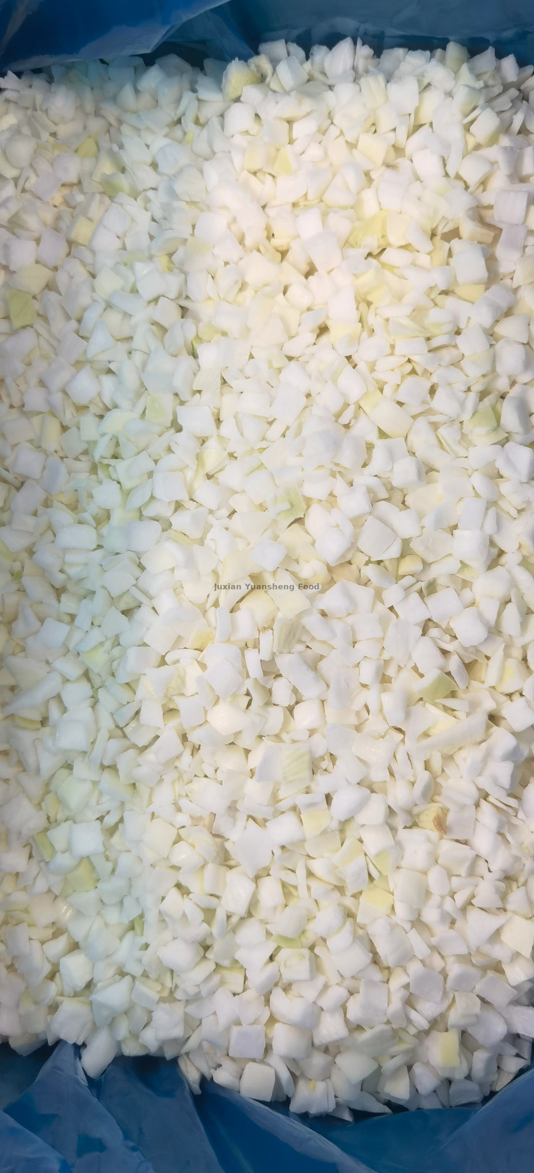 d&eacute;s d'oignon (2)